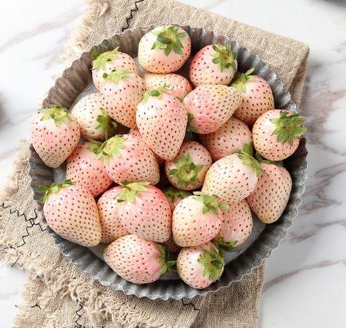 水莓100完全国产免费,国产免费，引领健康生活新潮流